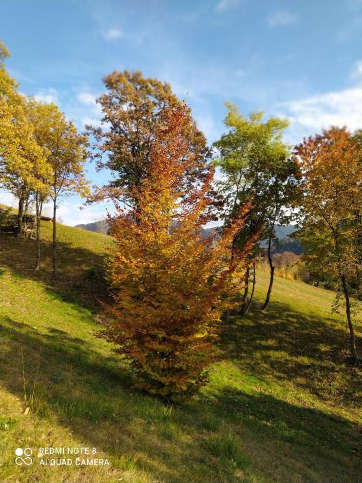 Agriturismo Fattoria Ortoalpino Trichiana Exterior photo